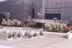 f1_04_gde.jpg (36kb)